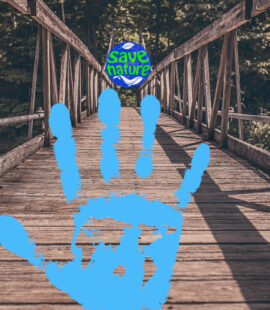 puente evolucion bluehands