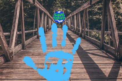 puente evolucion bluehands