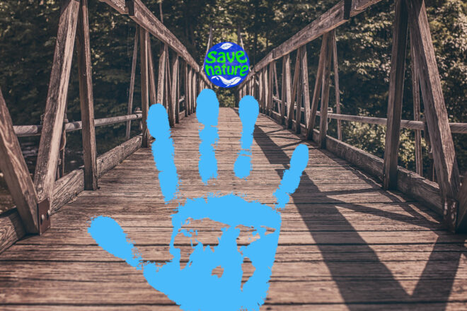 puente evolucion bluehands